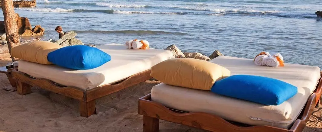Cofresi Palm Beach & Spa Resort Puerto Plata